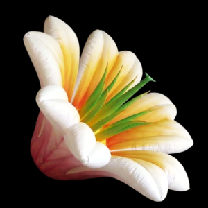 Lily