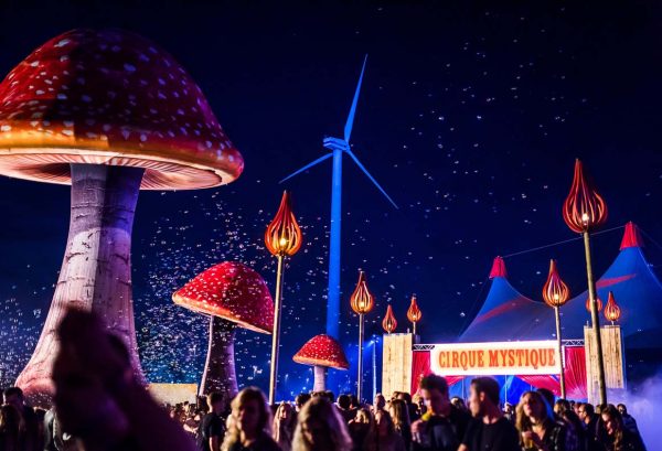 10m and 4m inflated mushrooms