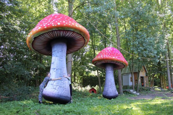 5m and 4m inflated mushrooms