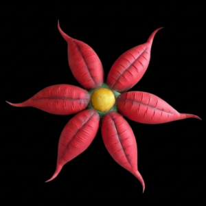 Red flowers