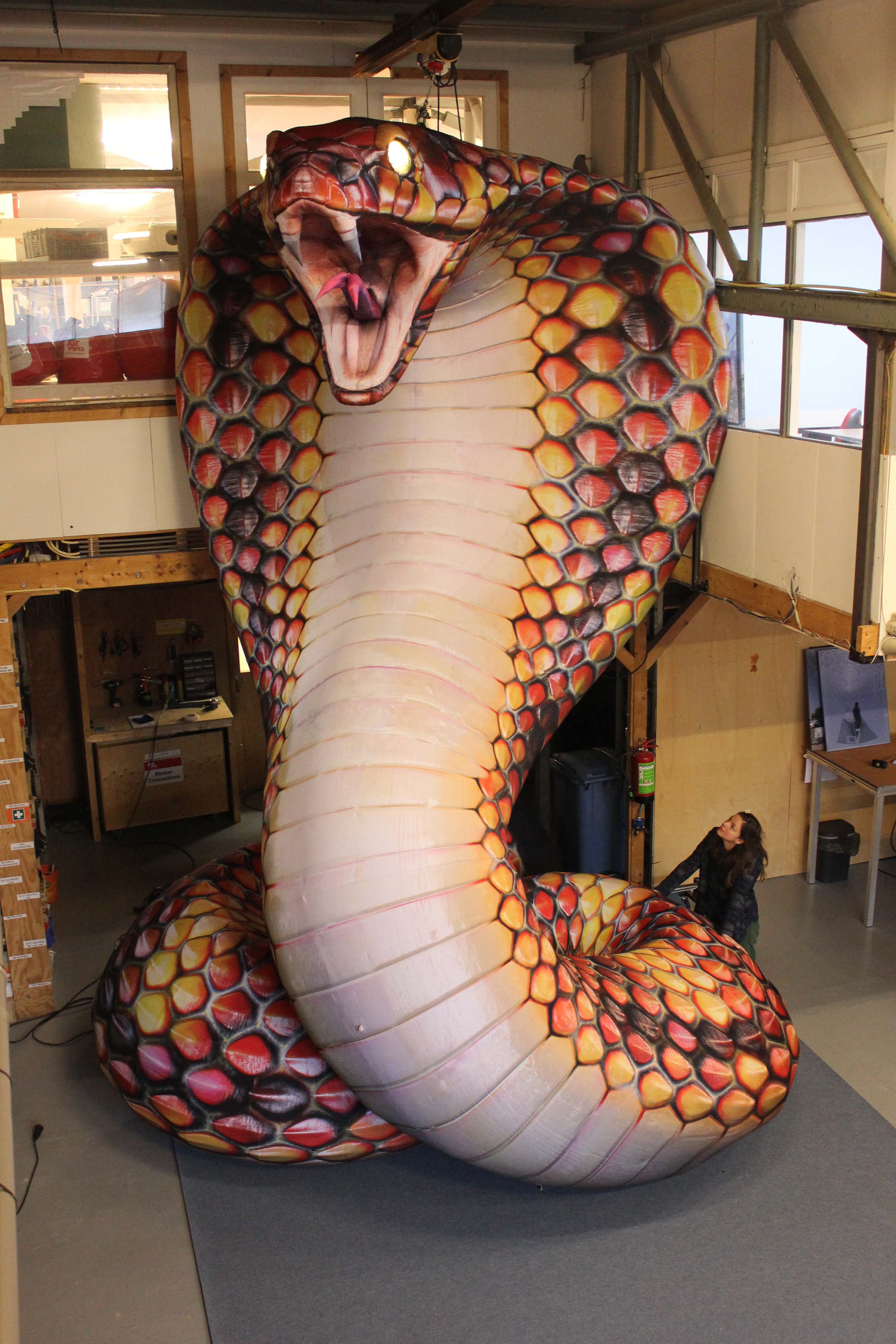 Cobra Airworks Rentals